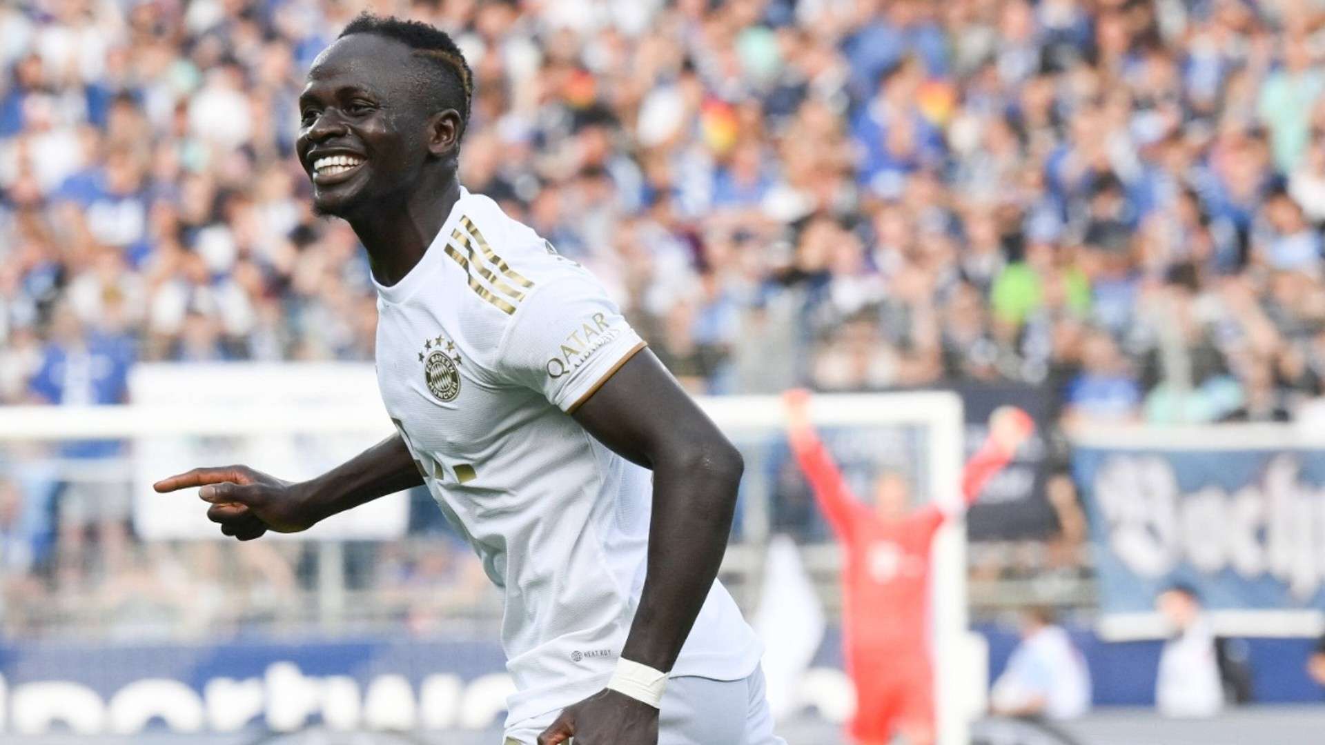 奮戰不懈的 奮戰不懈的