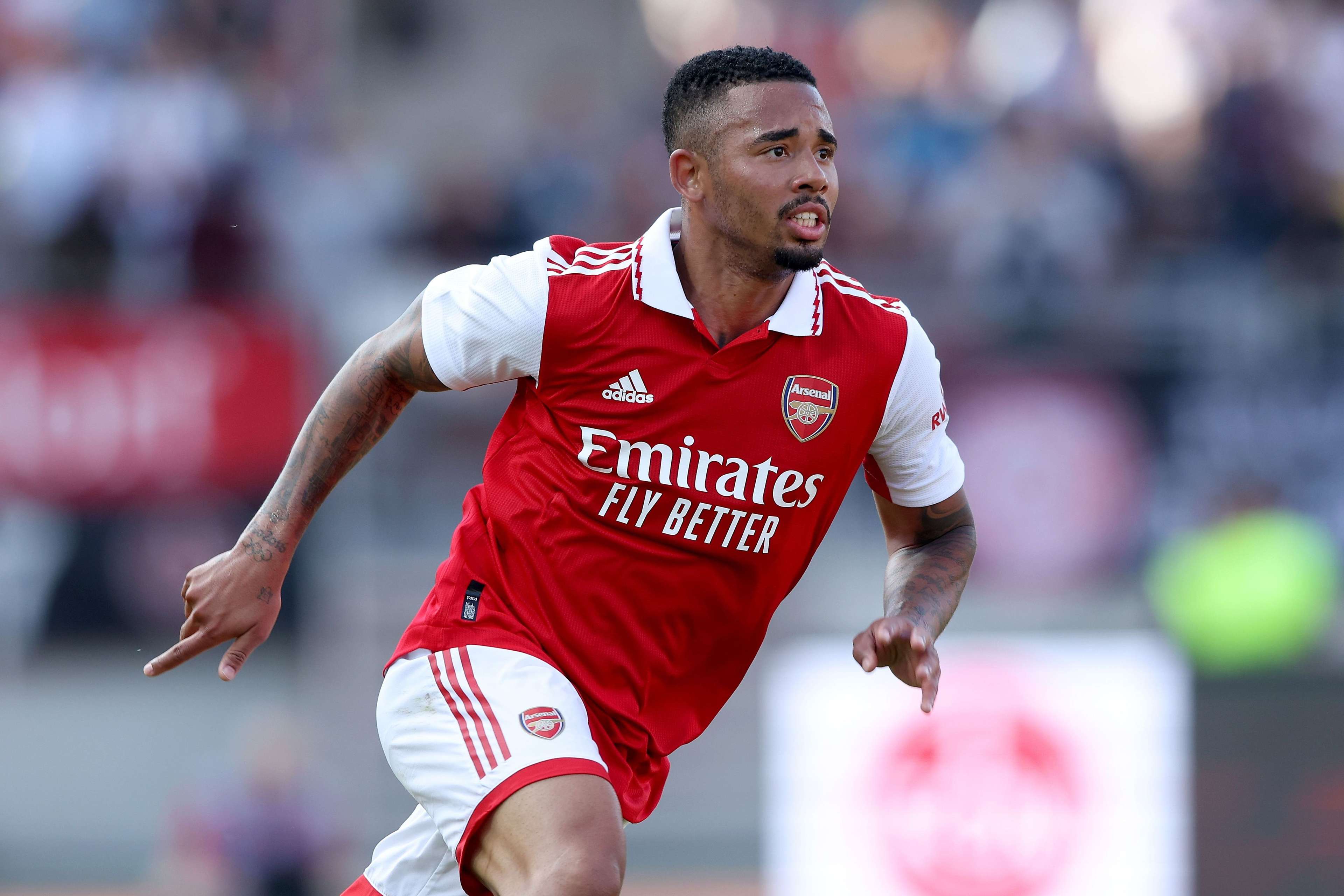 奮戰不懈的 奮戰不懈的