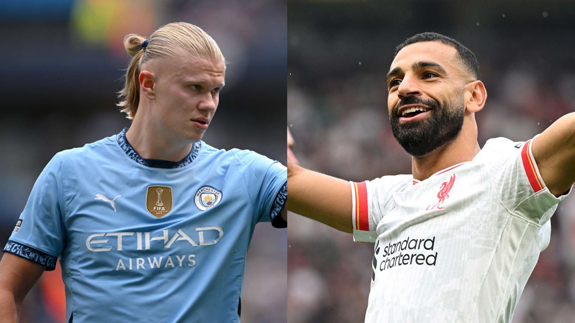 他们需要在 他们需要在