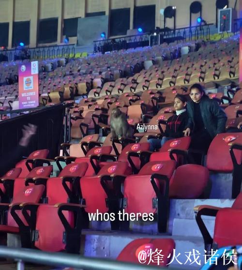 啊？羽毛球印度公开赛观众席闯入一只猴子